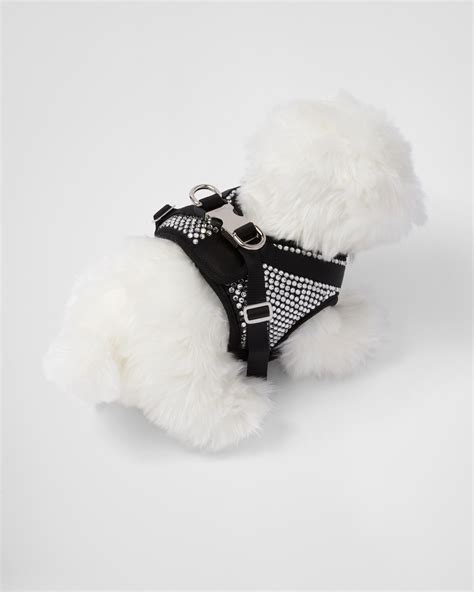 chien prada|prada luxury dog accessories.